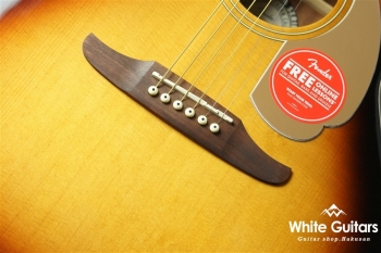 Newporter Player - SB